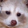 big mama kass's profile picture