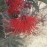 Фото профиля Judy Jones