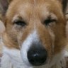 みーねぇ♡'s profile picture