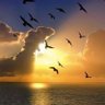 Yaheiy. Sadek Sabah. profil fotoğrafı