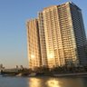 豊洲の歩き方 + ネオ江戸ベイエリア & 豊洲市場 的头像
