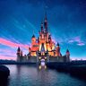 Profilbild von wis disney dad