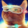 TechCat 的头像