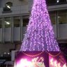 Фото профиля やすも