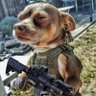 Mef Agan's profile picture