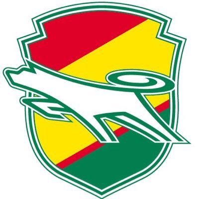 ジェフ千葉レディースアカデミー 公式's profile picture