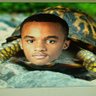 Burticus's profile picture