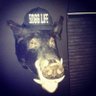 BossHogg aka Lester Diamond's profile picture