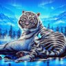 Tigris Maltese profil fotoğrafı
