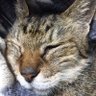 ワンツーステップ@O.T.S profil fotoğrafı