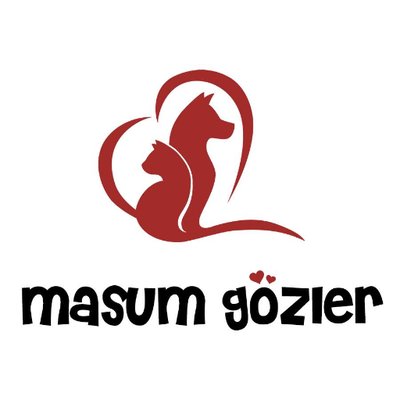 Masum Gözler's profile picture