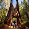 Profilbild von Scotty Perkins