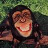 Profilbild von Mr. Hulio