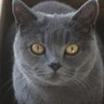 Profilbild von Lily Jones Wong