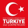 sevil özyurt's profile picture
