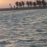ابو فراس profil fotoğrafı