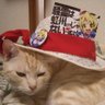 やみなべ profil fotoğrafı
