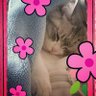 あいあい profil fotoğrafı