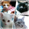 美女入門 profil fotoğrafı