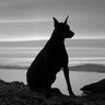 John Brink profil fotoğrafı