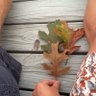 Susan Morse profil fotoğrafı