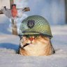 Цинічний Бердянськ 的头像