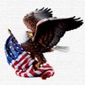 Фото профиля Stop the Half Staff Madness! 🇺🇸