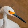 Фото профиля J. Fred Muggs