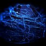 Фото профиля TheSapphire101