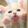Kirilinda's profile picture