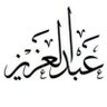 Фото профиля Abdulaziz