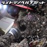 ザレ(from京都)'s profile picture