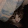 Profilbild von 廃ゆ
