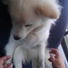 maoチャン profil fotoğrafı