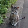 面堂草太郎's profile picture