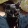 Фото профиля やどじぃ