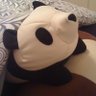 Beck48's profile picture