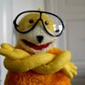 vik's profile picture