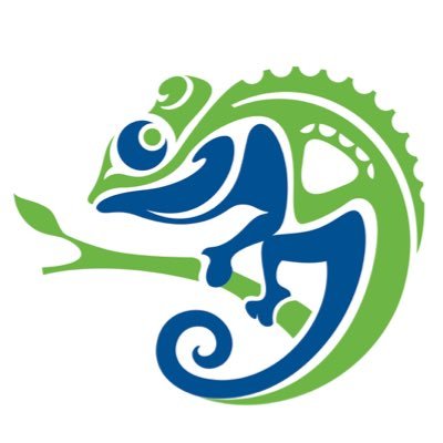 zenkozz's profile picture