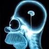 kameleon profil fotoğrafı