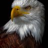 Nrw Liebhaber's profile picture