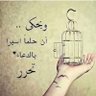 Profilbild von maha Alreef