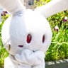 そんし 的头像