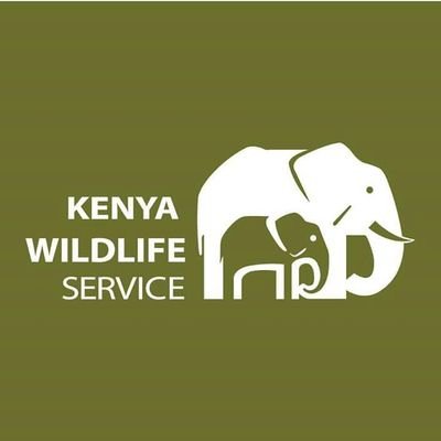 KWSKenya's profile picture