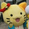 みかん profil fotoğrafı