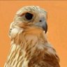 أبو عبدالرحمن🌿🍃's profile picture