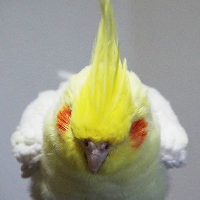 emisanma's profile picture