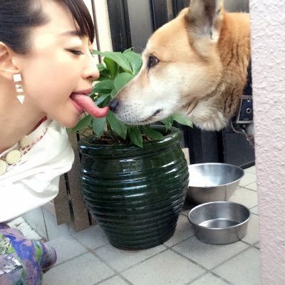 あやまんJAPANあやまん監督46歳2歳児の母👶's profile picture