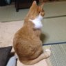Profilbild von ふーた