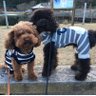 エディ&ルイ profil fotoğrafı
